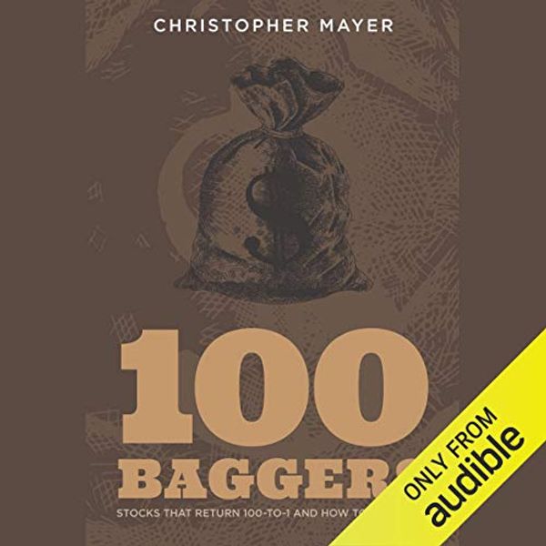 Cover Art for B0776NWVR4, 100 Baggers: Stocks That Return 100-to-1 and How to Find Them by Christopher W. Mayer