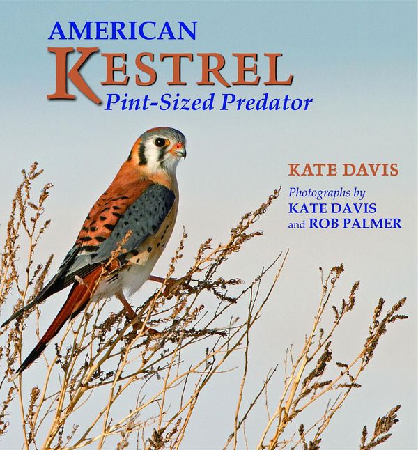 Cover Art for 9780878426447, American KestrelPint-Sized Predator by Kate Davis