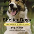 Cover Art for 9780807573365, Shelter Dogs by Peg Kehret