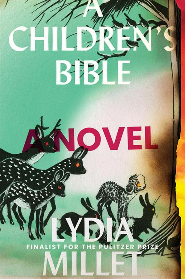 Cover Art for 9781324005032, A Children's Bible: A Novel by Lydia Millet