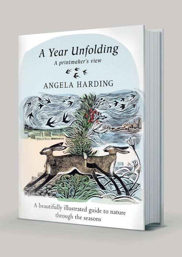 Cover Art for 9780751584332, A Year Unfolding: A Printmaker's View by Angela Harding