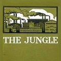 Cover Art for 9781538004357, The Jungle by Upton Sinclair