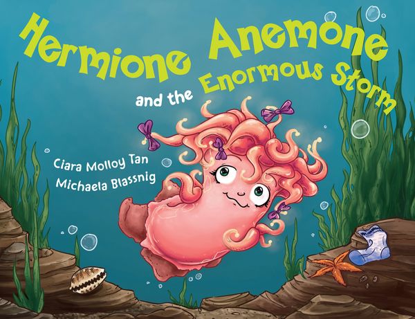 Cover Art for 9780734415479, Hermione Anemone and the Enormous Storm by Ciara Molloy Tan
