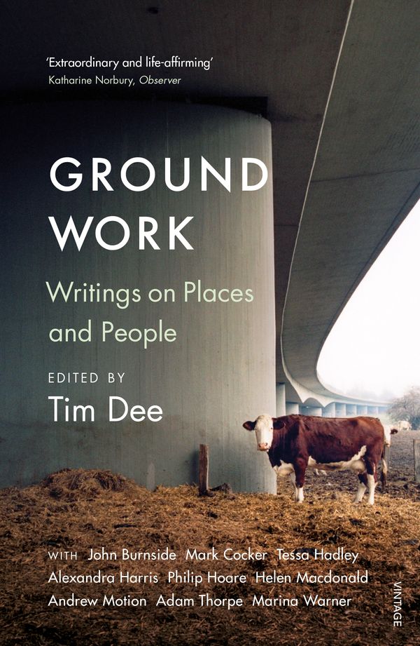 Cover Art for 9781784703462, Ground Work: Writings on People and Places by Tim Dee