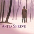 Cover Art for 9781600248757, Light on Snow by Anita Shreve, Alyson Silverman