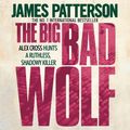 Cover Art for 9780755398287, The Big Bad Wolf by James Patterson