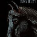 Cover Art for 9781304097798, Black Beauty by Anna Sewell
