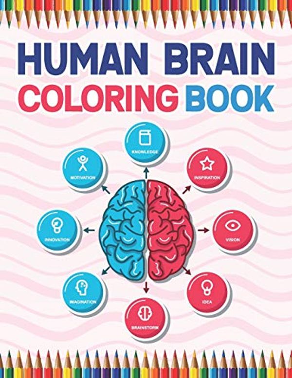 Human Brain Coloring Book The Human Brain Coloring Book. Human Brain