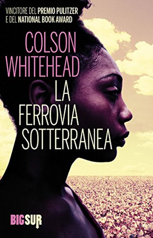 Cover Art for 9788869980879, La ferrovia sotterranea by Colson Whitehead