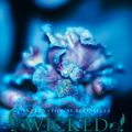 Cover Art for 9780007349890, Wicked Lovely by Melissa Marr