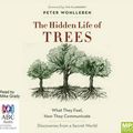 Cover Art for 9781489357885, The Hidden Life of Trees: (Compact Disc) by Peter Wohlleben