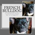 Cover Art for 9781493678204, French Bulldog by Debbie Miller