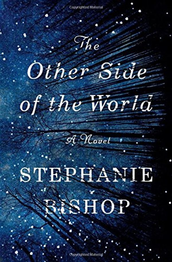 Cover Art for 9781501133121, The Other Side of the World by Stephanie Bishop