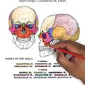 Cover Art for 9780321832016, The Anatomy Coloring Book by Wynn Kapit, Lawrence Elson