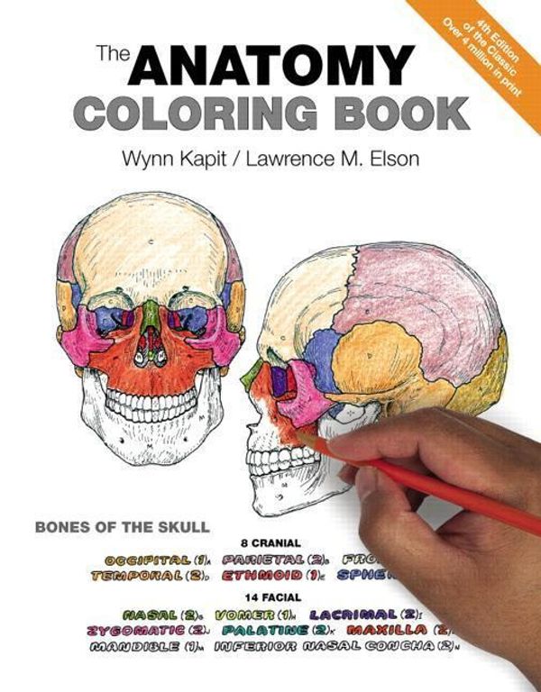 Cover Art for 9780321832016, The Anatomy Coloring Book by Wynn Kapit, Lawrence Elson
