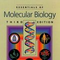 Cover Art for 9780867208603, The Essentials of Molecular Biology by George M. Malacinski