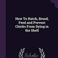Cover Art for 9781341073076, How To Hatch, Brood, Feed and Prevent Chicks From Dying in the Shell by Rebecca Johnson