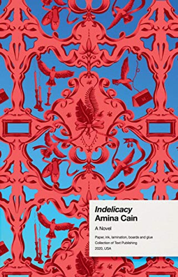 Cover Art for B07YXBXK9C, Indelicacy by Amina Cain