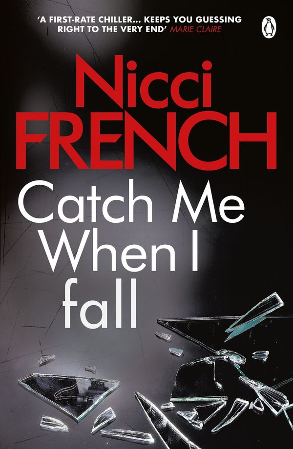 Cover Art for 9780141918488, Catch Me When I Fall by Nicci French