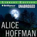 Cover Art for 9781441812469, Turtle Moon by Alice Hoffman