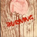Cover Art for 9780515044508, Burning by Jane Chambers