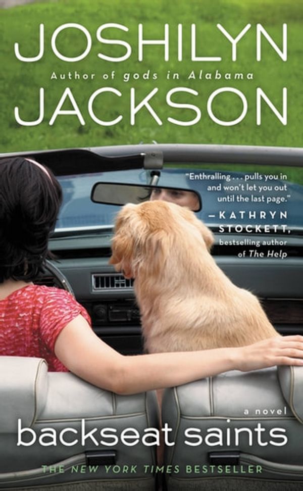 Cover Art for 9780446569170, Backseat Saints by Joshilyn Jackson