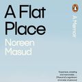 Cover Art for 9780241994344, A Flat Place by Noreen Masud