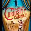 Cover Art for 9781492631491, Magruder's Curiosity Cabinet by H. P. Wood