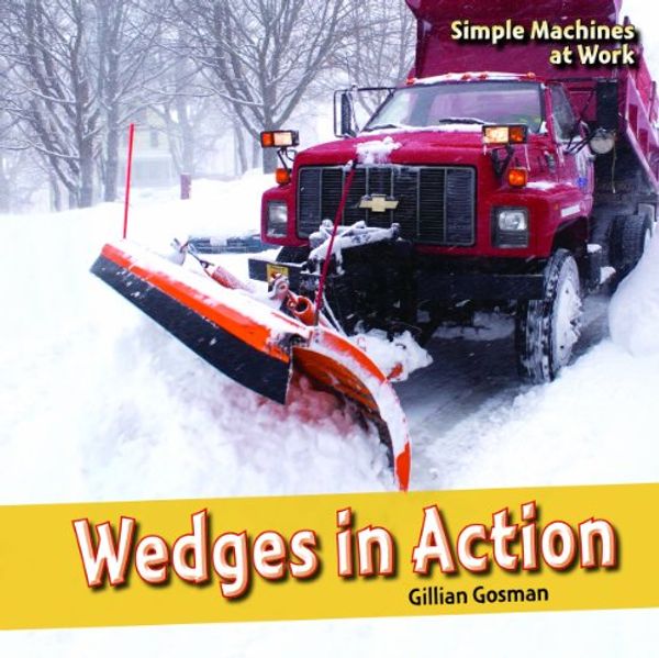 Cover Art for 9781448806836, Wedges in Action by Gillian Gosman