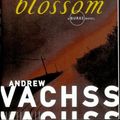 Cover Art for 9780394585239, Blossom by Andrew Vachss