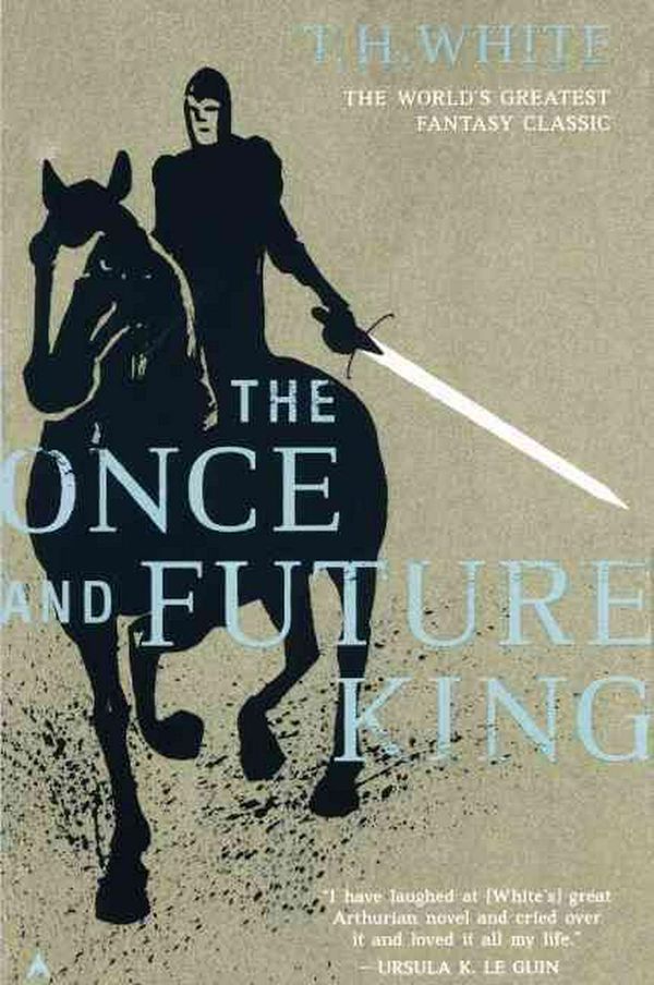 Cover Art for 9780808576853, The Once and Future King by Terence Hanbury White