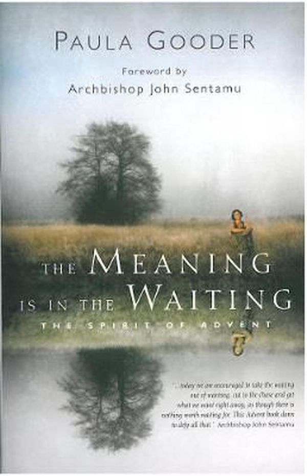 Cover Art for 9781853119088, The Meaning is in the Waiting by Paula Gooder