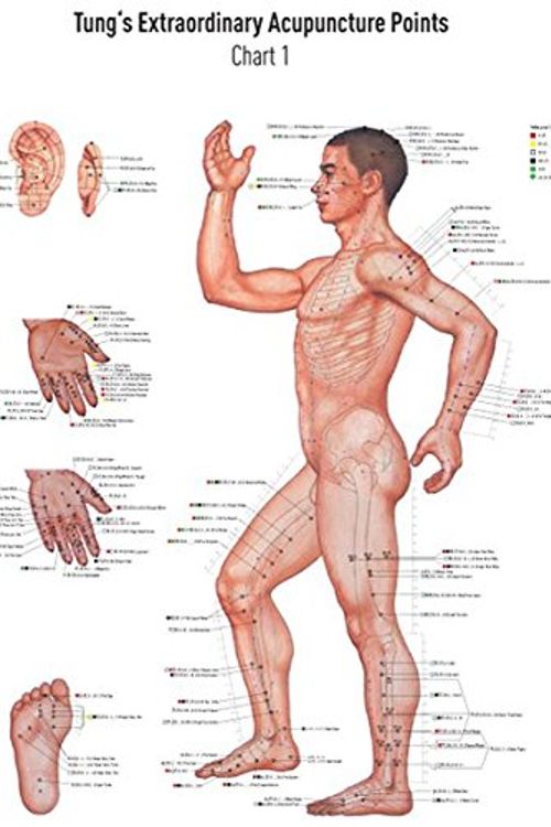 Cover Art for 9783902735119, Chart 1 Tung's Extraordinary Acupuncture Points on the regular channels by David Koppensteiner