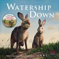 Cover Art for 9781509881642, Watership Down: Gift Picture Storybook by Cottrell Boyce, Frank