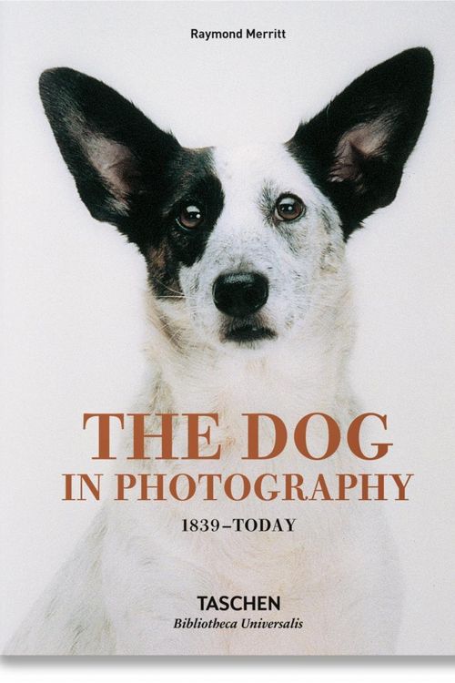 Cover Art for 9783836567473, The Dog in Photography 1839-Today by Raymond Merritt