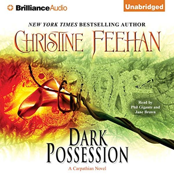 Cover Art for B00IMV24TE, Dark Possession: Dark Series, Book 18 by Christine Feehan