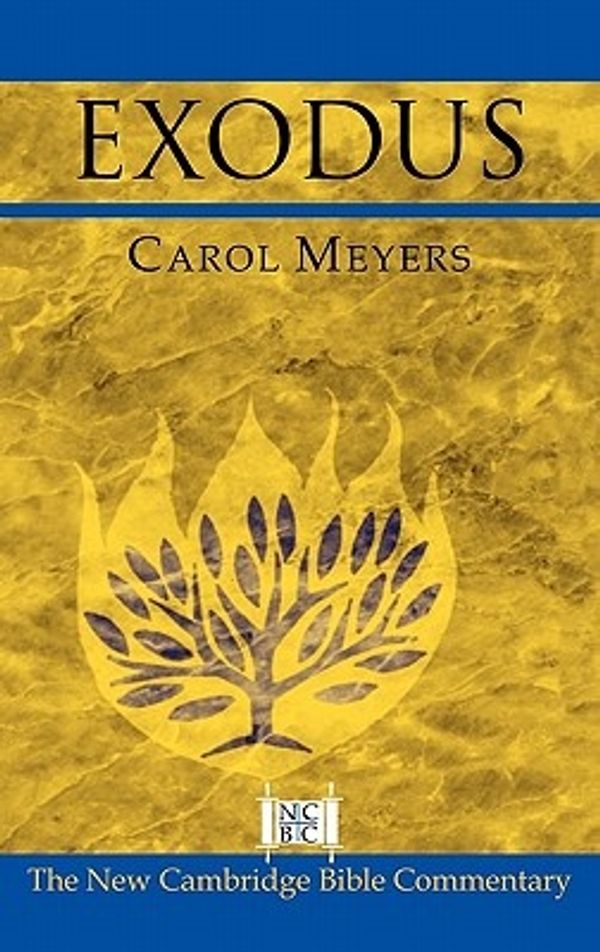 Cover Art for 9780521807814, Exodus by Carol Meyers
