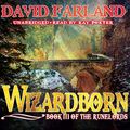 Cover Art for 9781441753069, Wizardborn by David Farland