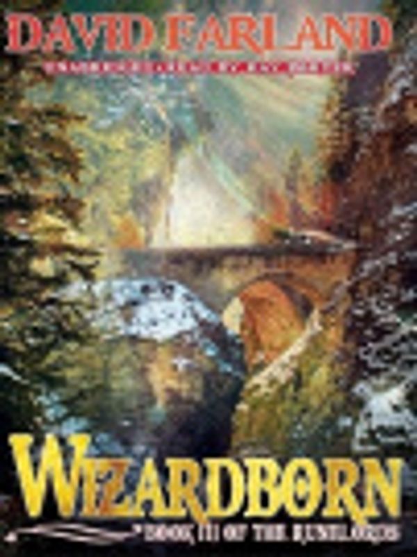 Cover Art for 9781441753038, Wizardborn by David Farland