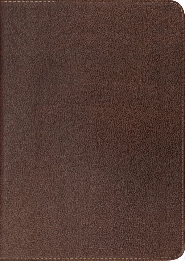Cover Art for 9781433521782, ESV Study Bible by Crossway Bibles