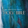 Cover Art for 9781563201431, Holy Bible-NIV by Zondervan