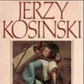 Cover Art for 9780553124606, The Painted Bird by Jerzy Kosinski