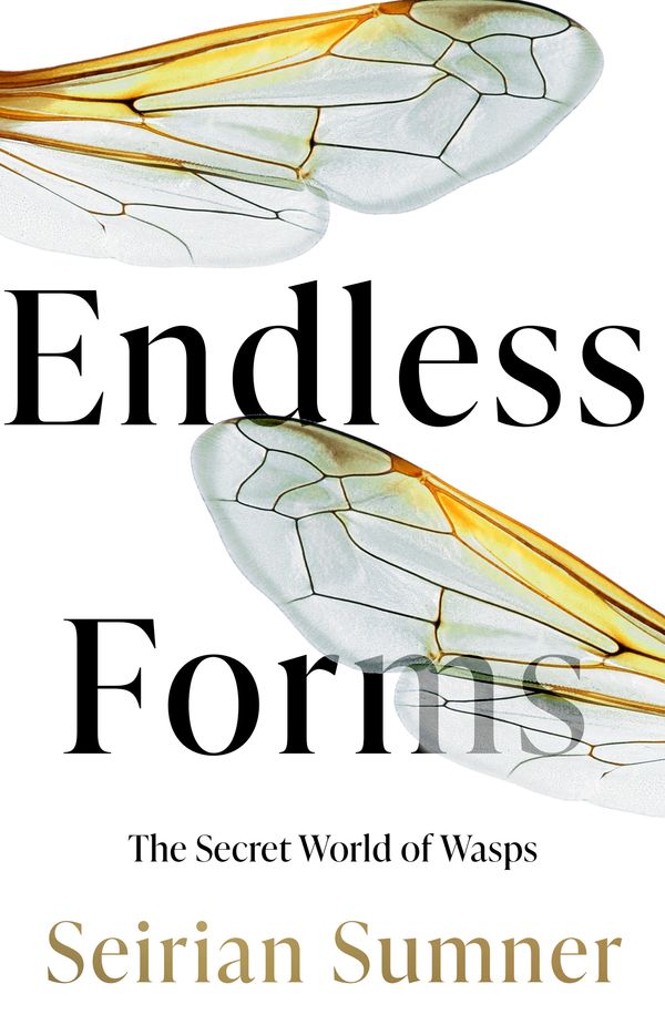 Cover Art for 9780008394479, Endless Forms: The Secret World of Wasps by Seirian Sumner