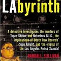 Cover Art for 9780802139719, Labyrinth by Randall Sullivan
