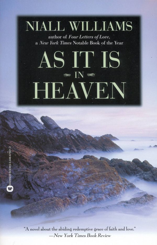 Cover Art for 9780446676014, As It Is in Heaven by Niall Williams