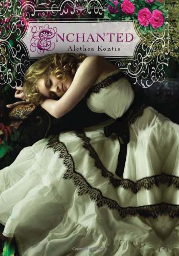 Cover Art for 9781469202891, Enchanted by Kontis, Alethea
