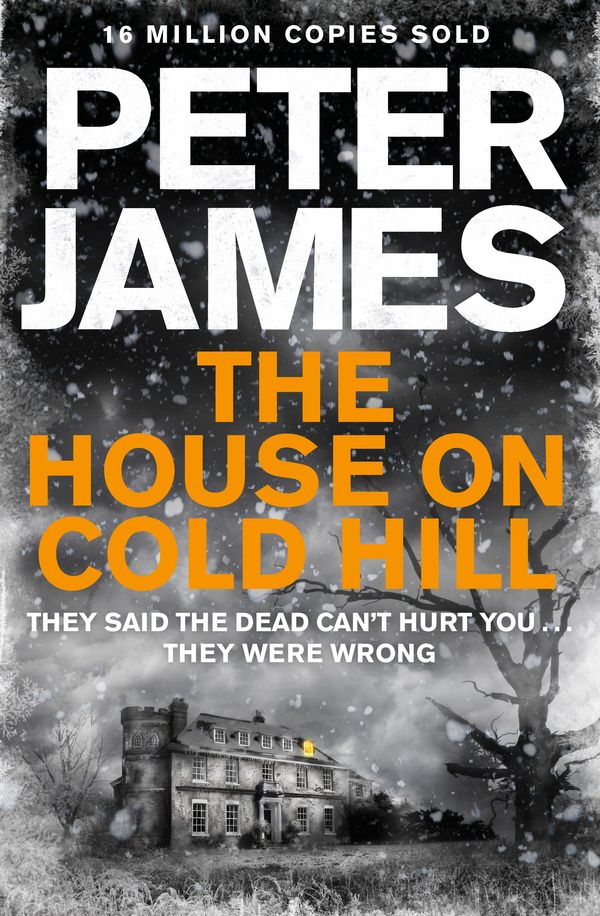Cover Art for 9781447290674, The House on Cold Hill by Peter James