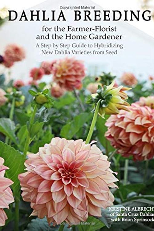 Cover Art for 9798660046179, Dahlia Breeding for the Farmer-Florist and the home Gardener: A Step by Step Guide to Hybridizing New Dahlia Varieties From Seed by Kristine Albrecht, Brion Sprinsock