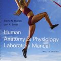 Cover Art for 9780134451381, Human Anatomy & Physiology, Books a la Carte Edition; Human Anatomy & Physiology Laboratory Manual, Fetal Pig Version; Masteringa & p with Pearson Etext -- Valuepack Access Card; Get Ready for A Brief Atlas of the Human Body by Elaine N. Marieb, Katja N. Hoehn