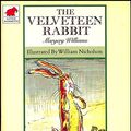 Cover Art for 9780749700287, The Velveteen Rabbit by Margery Williams